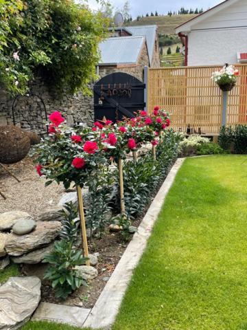 Miners Lane Guest House Clyde Extérieur photo